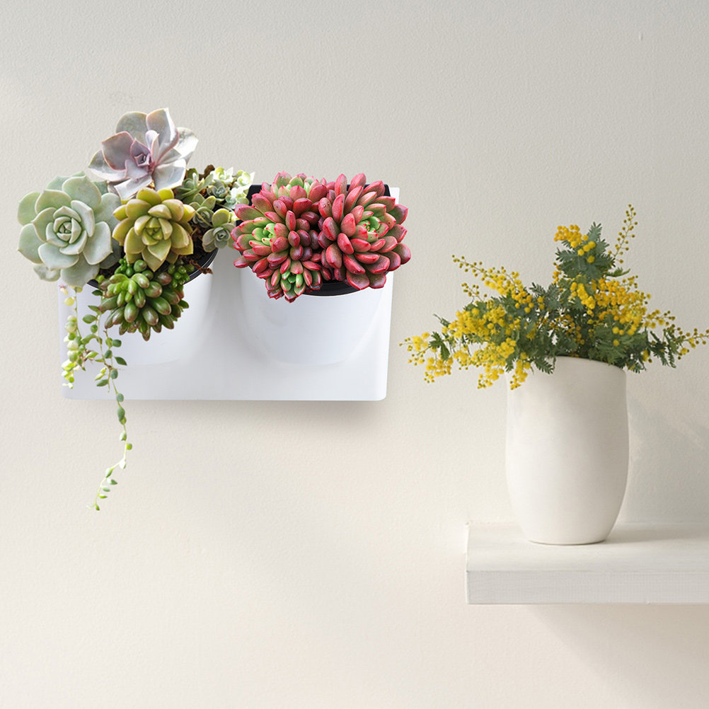 Succulent Planter Pot - وعاء زهور بلاستيكي ذاتي الري، وعاء