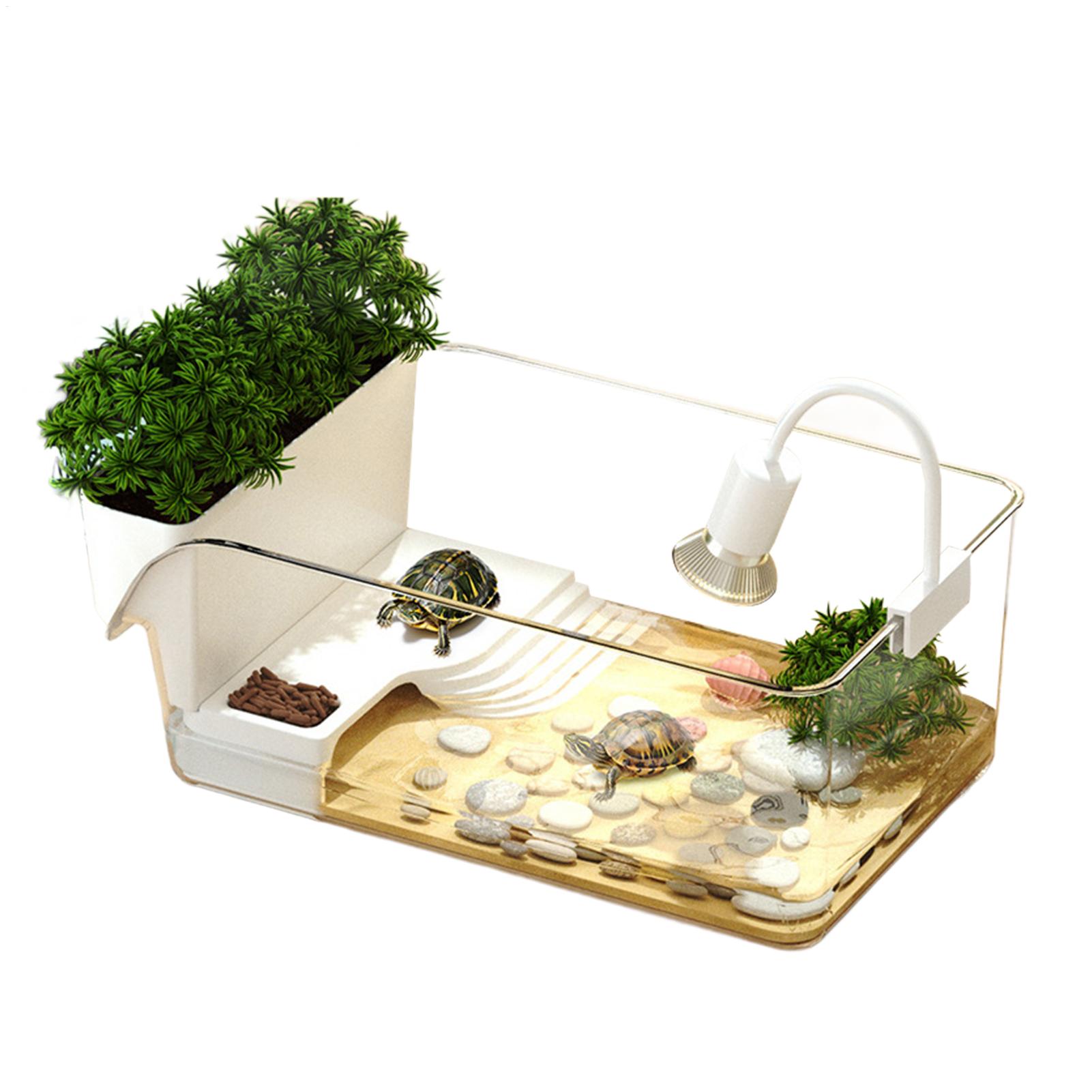 Home Decor Habitat - حوض شفاف للسلاحف، تيراريوم زخرفي، موطن
