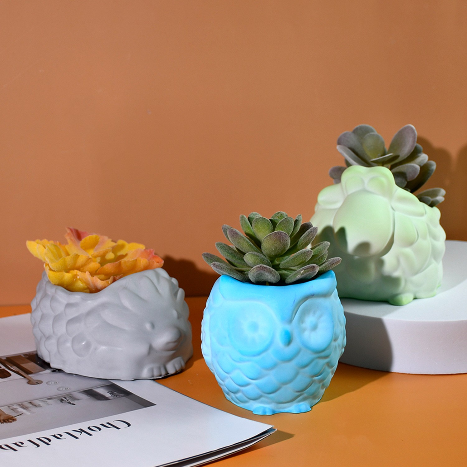 ثلاثية الأبعاد الحيوان اناء لل - مراجعة Succulent Planter Pot وسعره