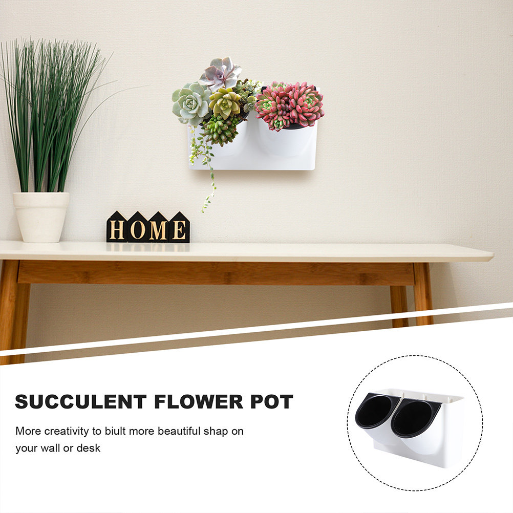 وعاء زهور بلاستيكي ذاتي الري،  - مراجعة Succulent Planter Pot وسعره