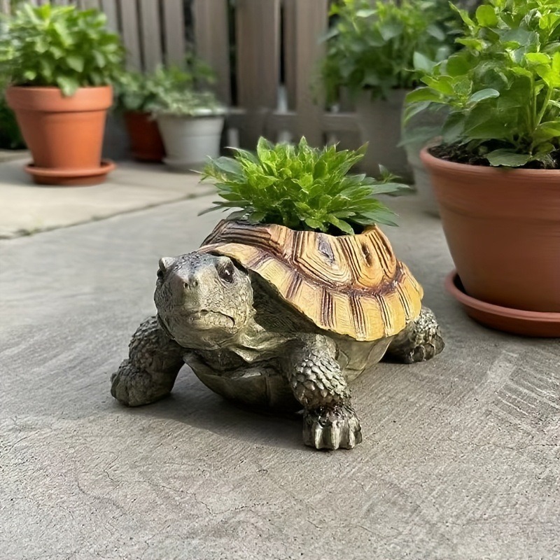 مزهرية على شكل سلحفاة لطيفة، ز - مراجعة Succulent Planter Pot وسعره
