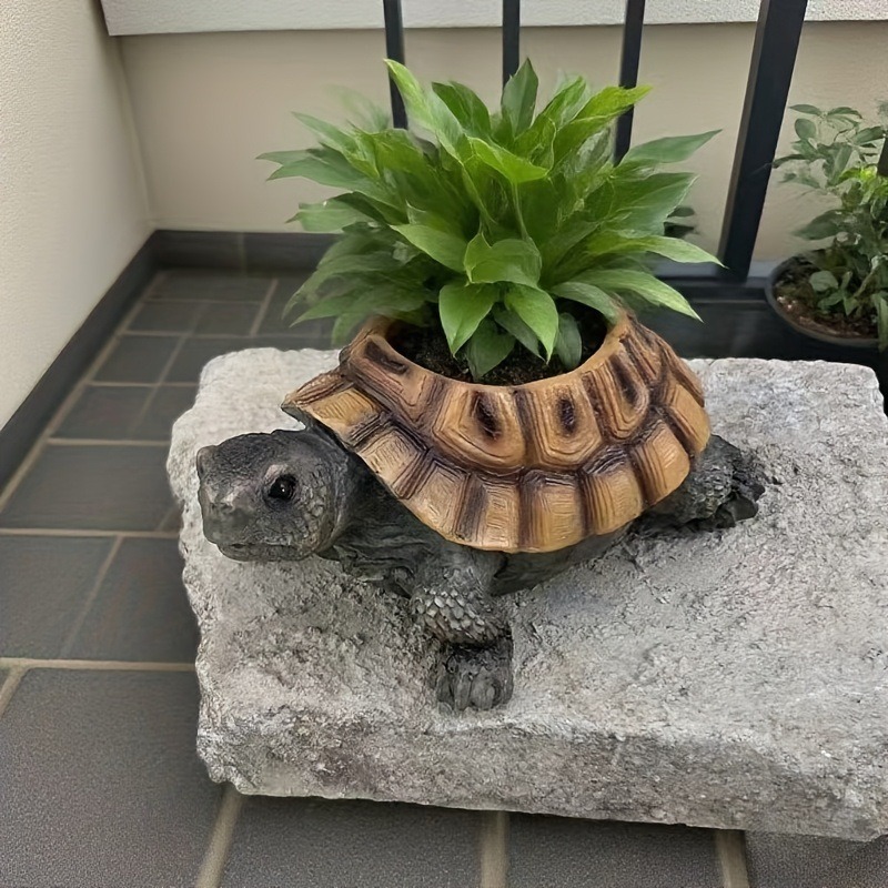 مزهرية على شكل سلحفاة لطيفة، ز - مراجعة Succulent Planter Pot وسعره