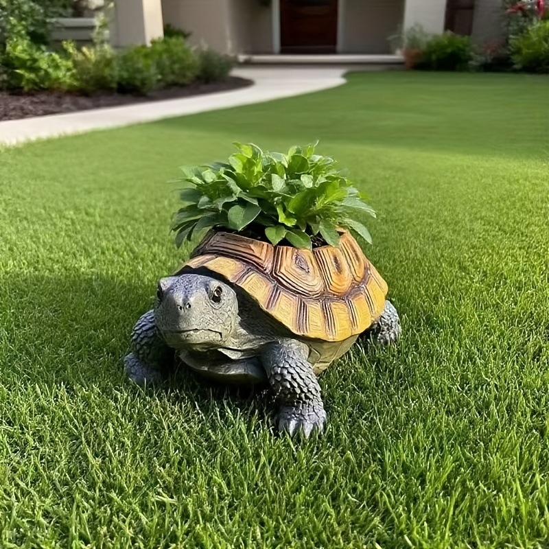 مزهرية على شكل سلحفاة لطيفة، ز - مراجعة Succulent Planter Pot وسعره