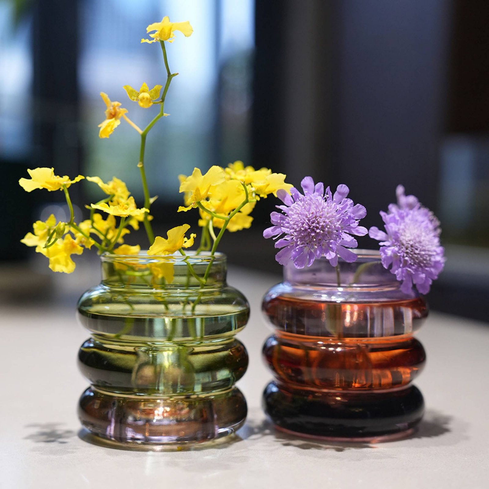 مزهرية زجاجية دائرية شفافة لتز - مراجعة Home Decor Vase وسعره