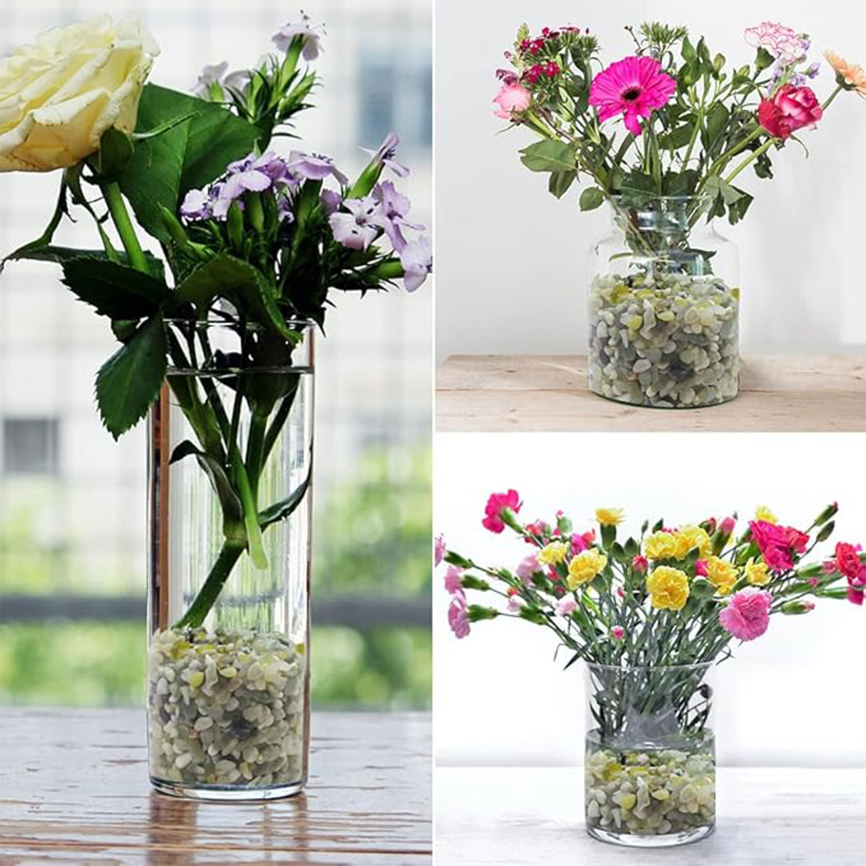 حصى عصارية وصبار، أحجار مصقولة - مراجعة Succulent Planter Pot وسعره