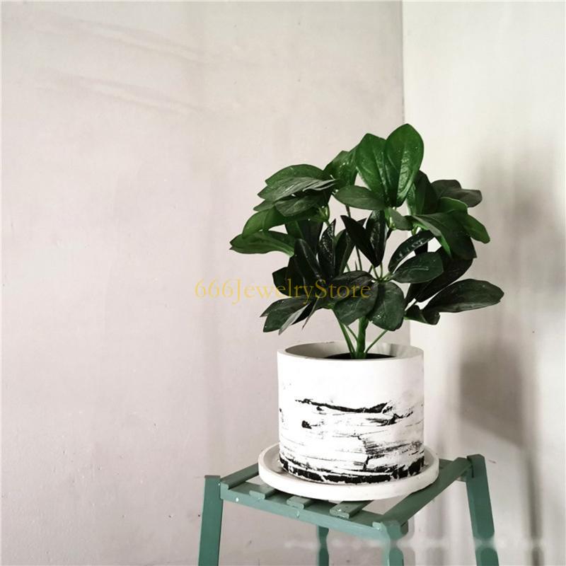 F2TD كبير مستدير نضج زارع الغر - مراجعة Succulent Planter Pot وسعره