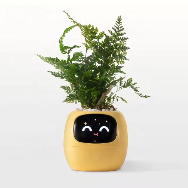 جهاز YY Wifi Ai Planter للتذكي - مراجعة Home Decor Ai Free وسعره