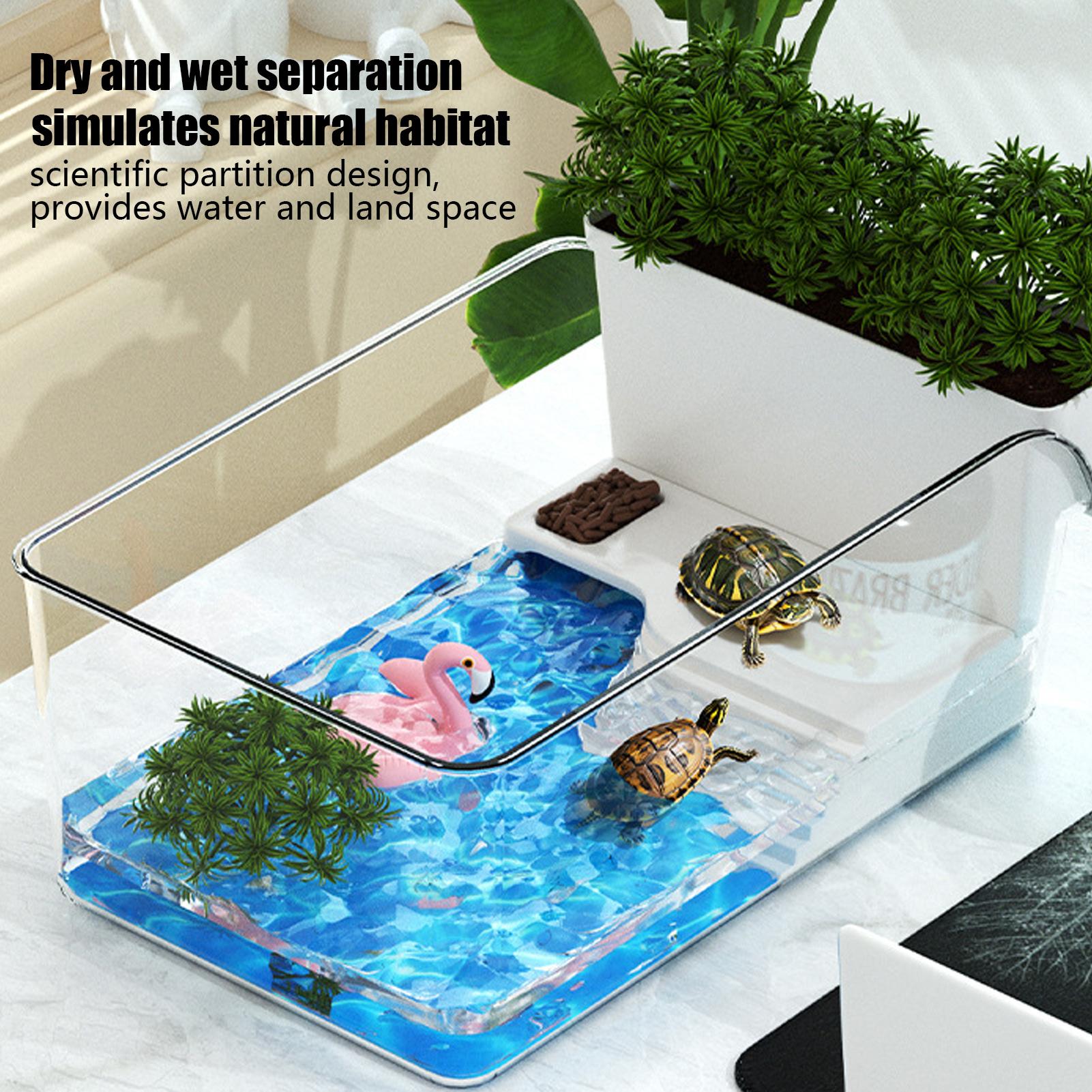 حوض شفاف للسلاحف، تيراريوم زخر - مراجعة Home Decor Habitat وسعره