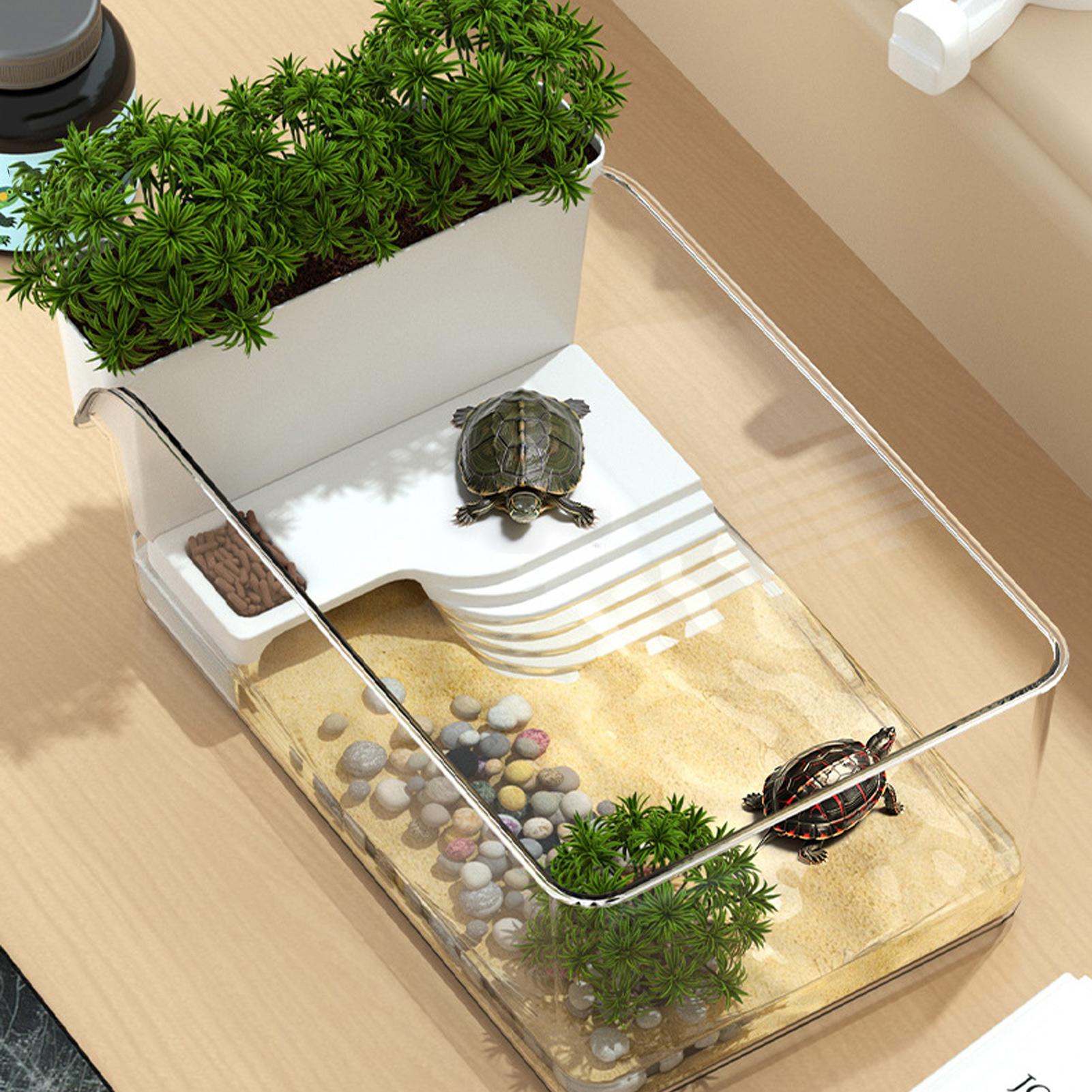 حوض شفاف للسلاحف، تيراريوم زخر - مراجعة Home Decor Habitat وسعره